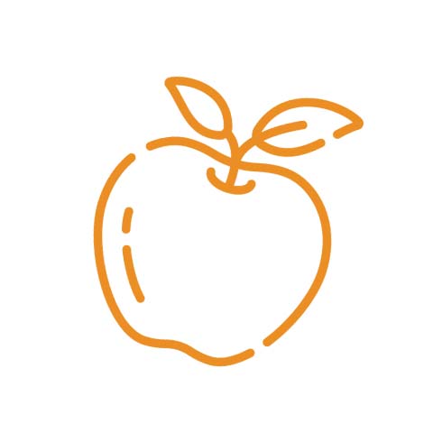 Apple icon